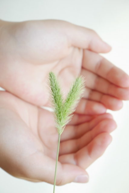 強く思いのイメージ力が潜在潜在意識の驚異の力を引き出すの画像