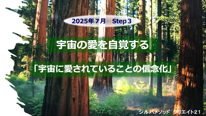 2025年7月のZoomレクチャー＆フォロー の画像