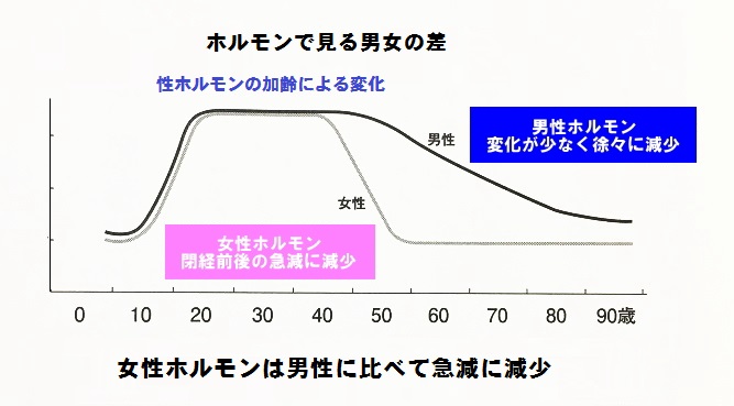 男女の性ホルモンの違いを表した折線グラフ