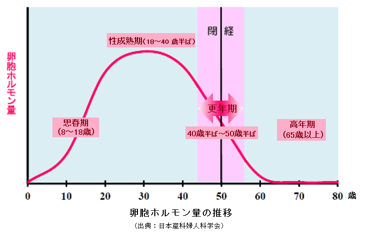 女性の年齢別卵胞ホルモン量の推移を表した折線グラフ